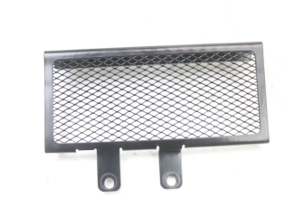 GRILLE RADIATEUR