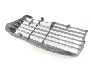 GRILLE RADIATEUR