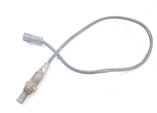 SONDE LAMBDA