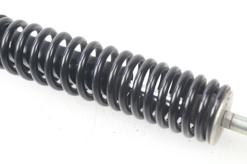 photo de AMORTISSEUR ARRIERE APRILIA SR 2T 50 (2018 - 2022)