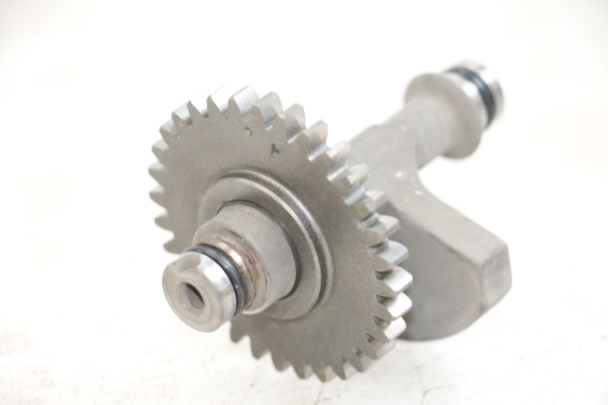 photo de BALANCIER MOTEUR SHERCO CITY CORP 125 (2003 - 2007)