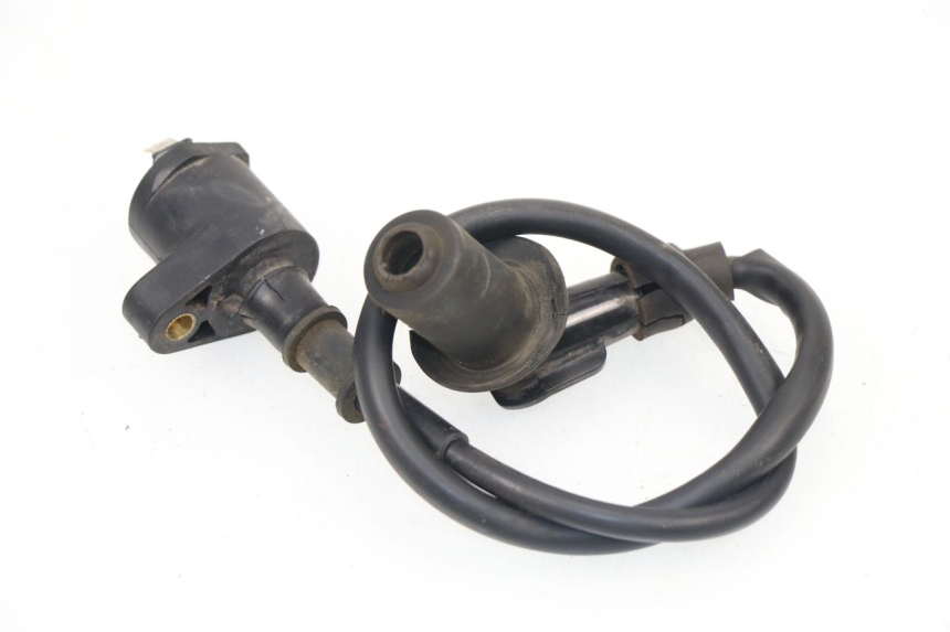 photo de BOBINE SACHS EAGLE 50 (2007 - 2010)