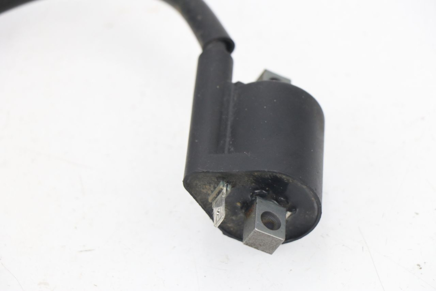 photo de BOBINE RIEJU MRT 50 (2018 - 2021)