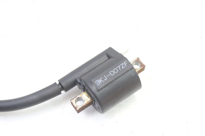 photo de BOBINE RIEJU MRT 50 (2018 - 2021)