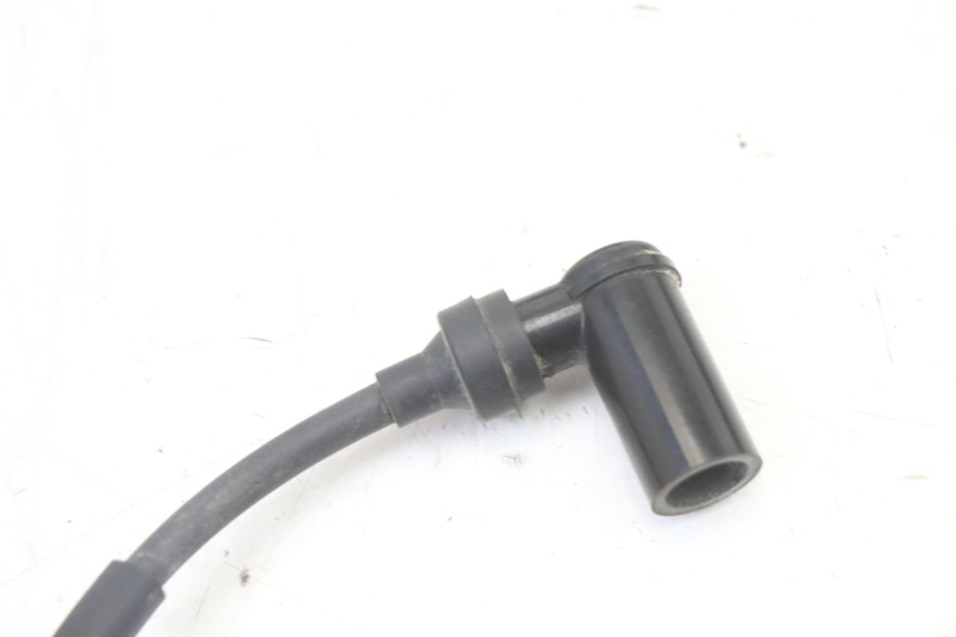 photo de BOBINE YAMAHA PW 50 (1984 - 2020)