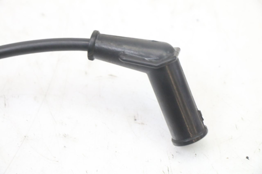 photo de BOBINE TNT MOTOR ROMA 10' 2T 50 (2011 - 2018)