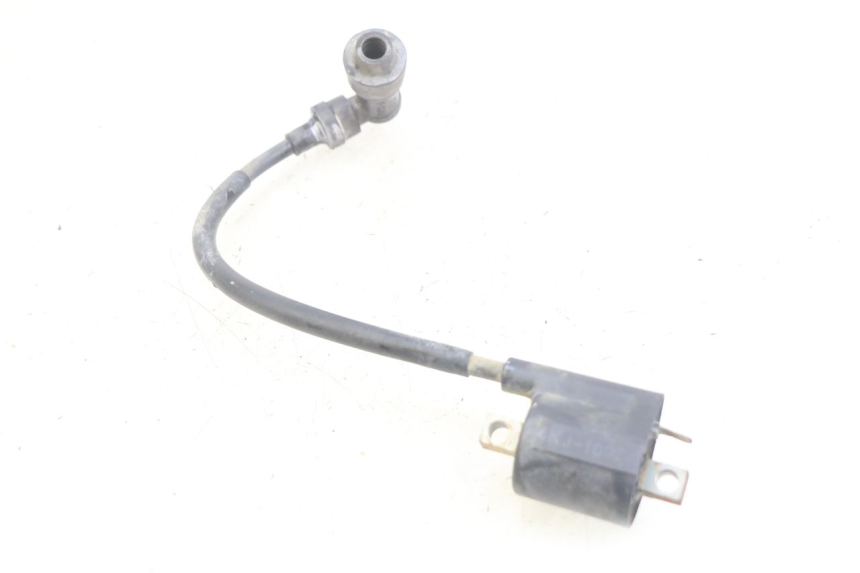 photo de BOBINE YAMAHA TTR 125 (2000 - 2020)