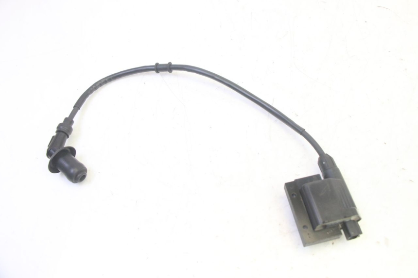 photo de BOBINE PEUGEOT TWEET PRO EFI 4T 50 (2021 - 2022)