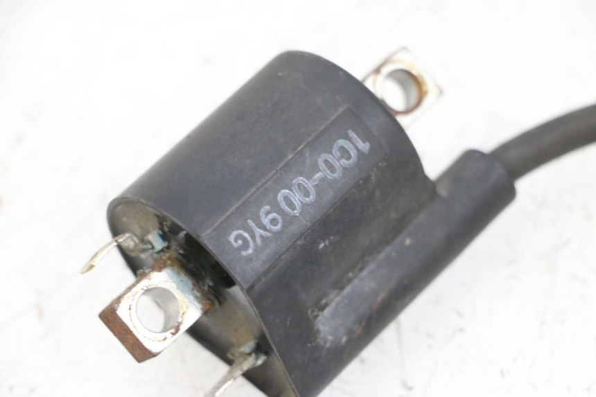 photo de BOBINE YAMAHA X-MAX XMAX 125 (2010 - 2013) - Zoom état d’usage