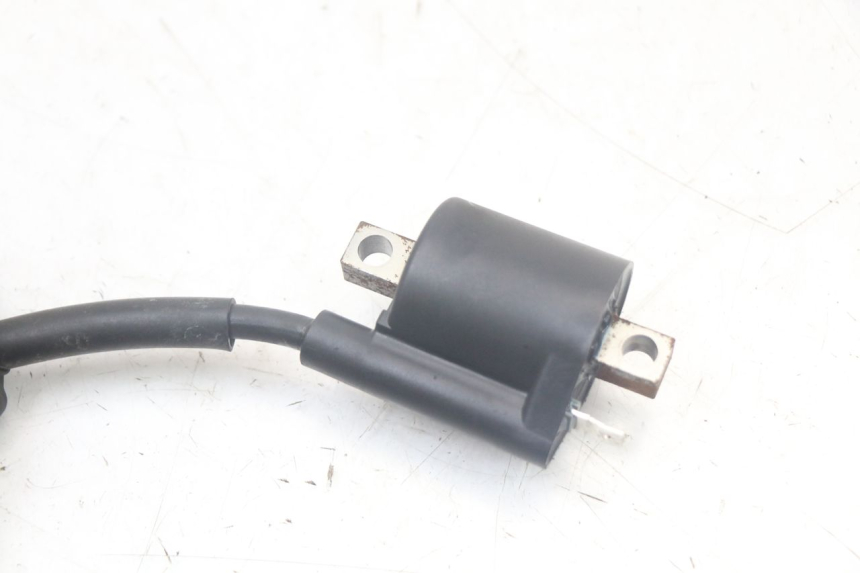 photo de BOBINE FANTIC XM PERFORMANCE 2T 50 (2021 - 2022)