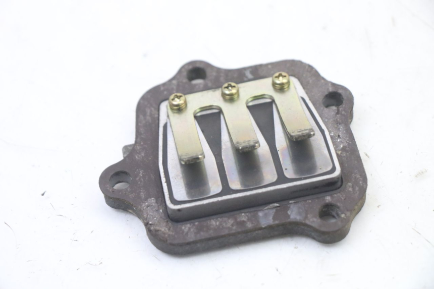 photo de BOITE A CLAPETS YAMAHA PW 80 (1983 - 2014)