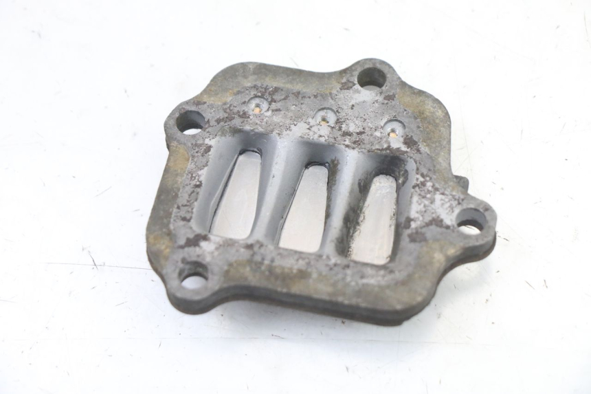 photo de BOITE A CLAPETS YAMAHA PW 80 (1983 - 2014)