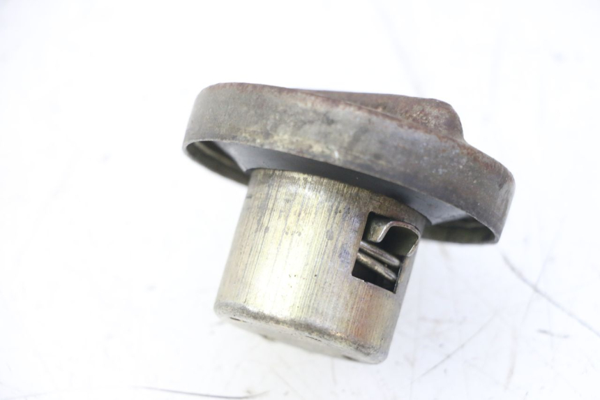 photo de BOUCHON RESERVOIR ESSENCE SKYTEAM DAX REPLICA 110 (2005 - 2015)