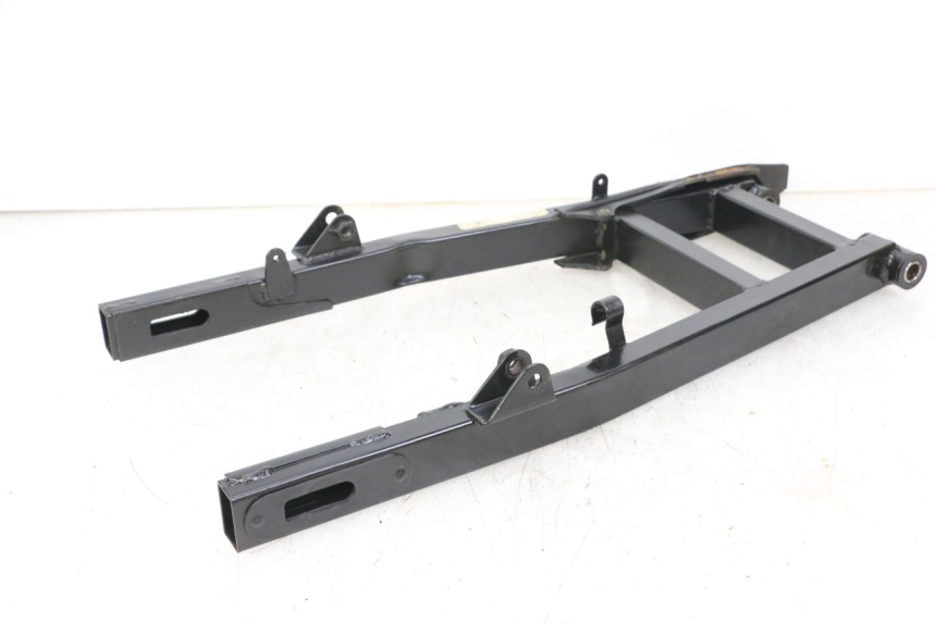 photo de BRAS OSCILLANT REGAL RAPTOR RAXTER 2 125 (2007 - 2015)