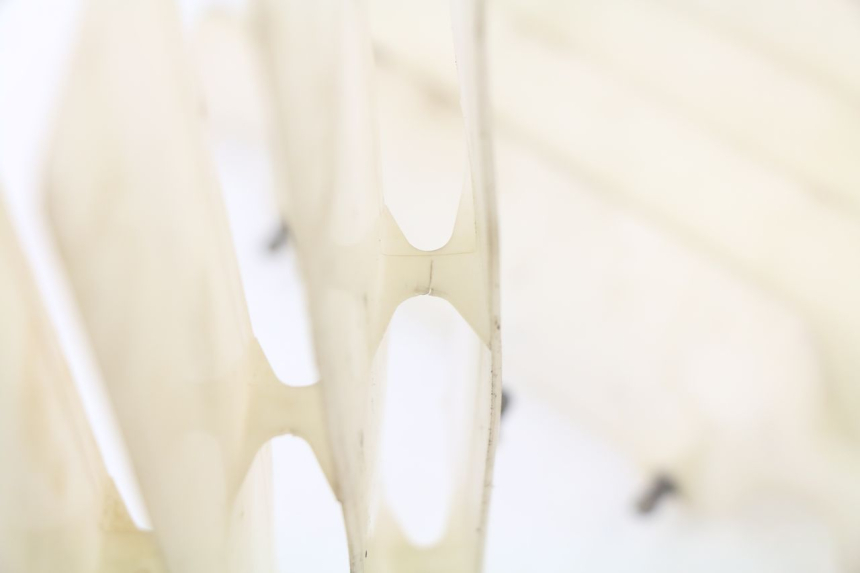 photo de CARROSSERIE CARENAGE COMPLET HONDA CRF CR-F 450 (2005 - 2008)