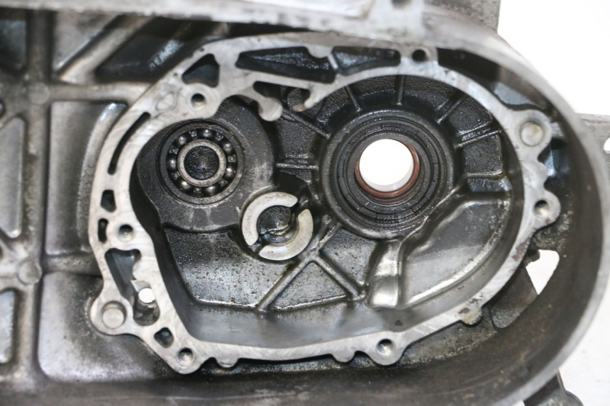 photo de CARTER MOTEUR GAUCHE PEUGEOT VIVACITY NEW 2T 50 (2008 - 2017)