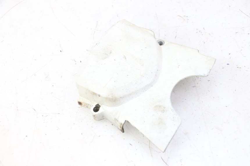 photo de CARTER PIGNON SKYTEAM DAX REPLICA 110 (2005 - 2015)