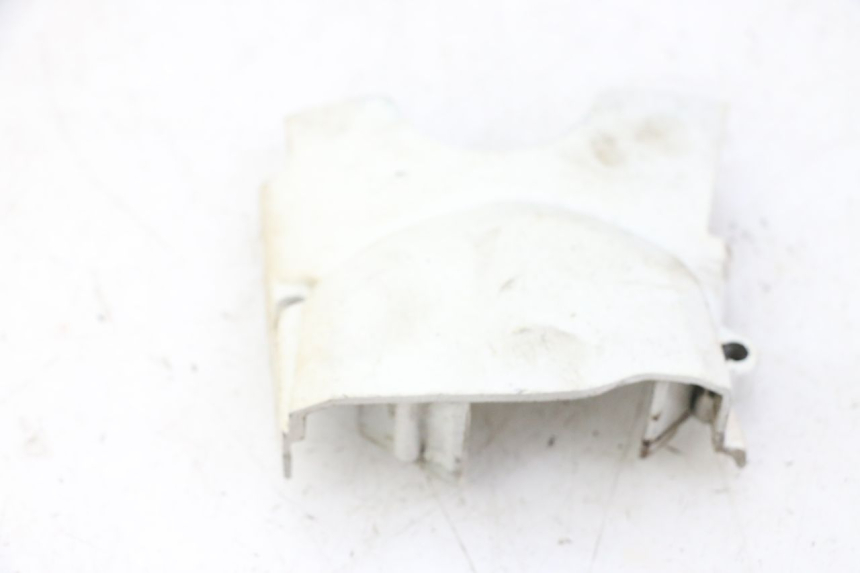 photo de CARTER PIGNON SKYTEAM DAX REPLICA 110 (2005 - 2015)