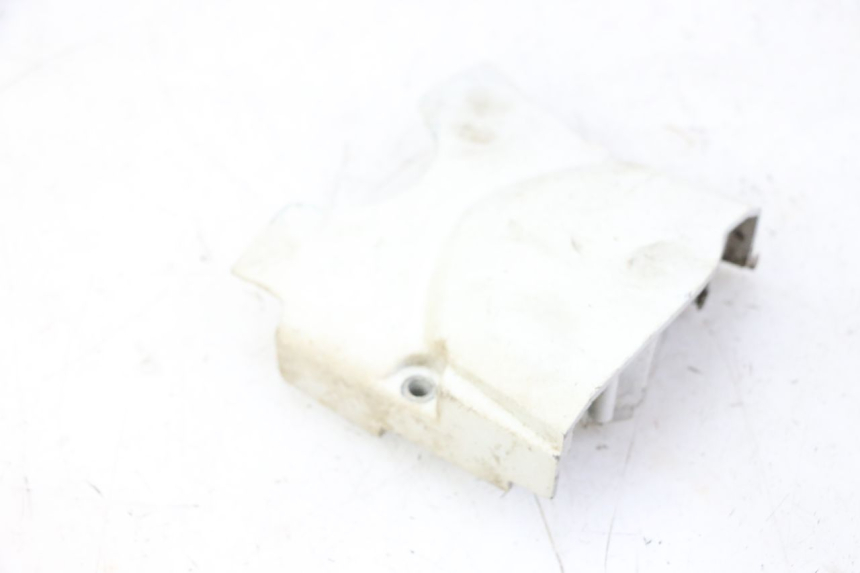 photo de CARTER PIGNON SKYTEAM DAX REPLICA 110 (2005 - 2015)