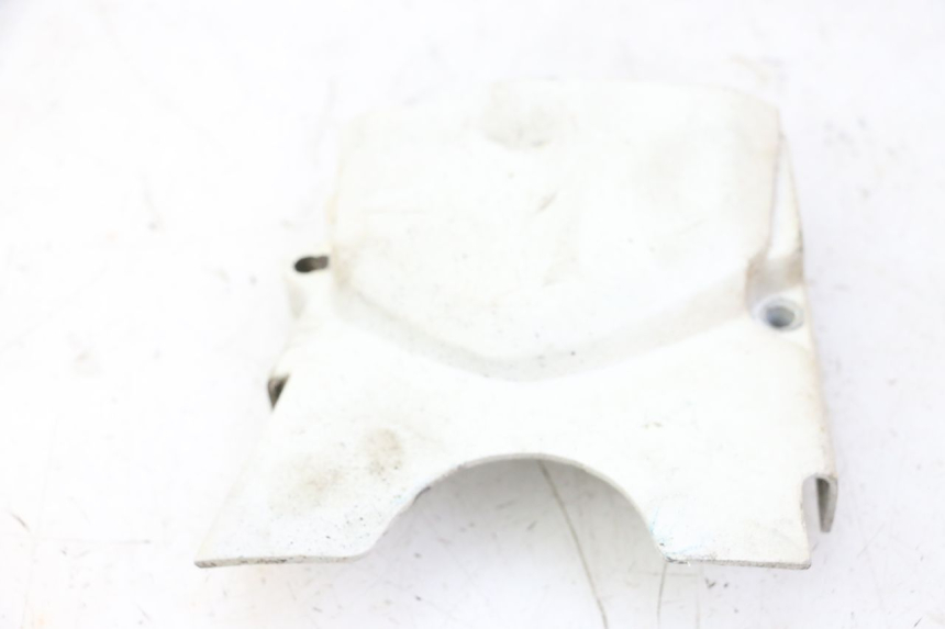 photo de CARTER PIGNON SKYTEAM DAX REPLICA 110 (2005 - 2015)