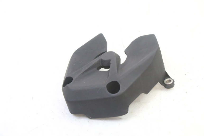 photo de CARTER PIGNON BMW G310 R 310 (2016 - 2020)