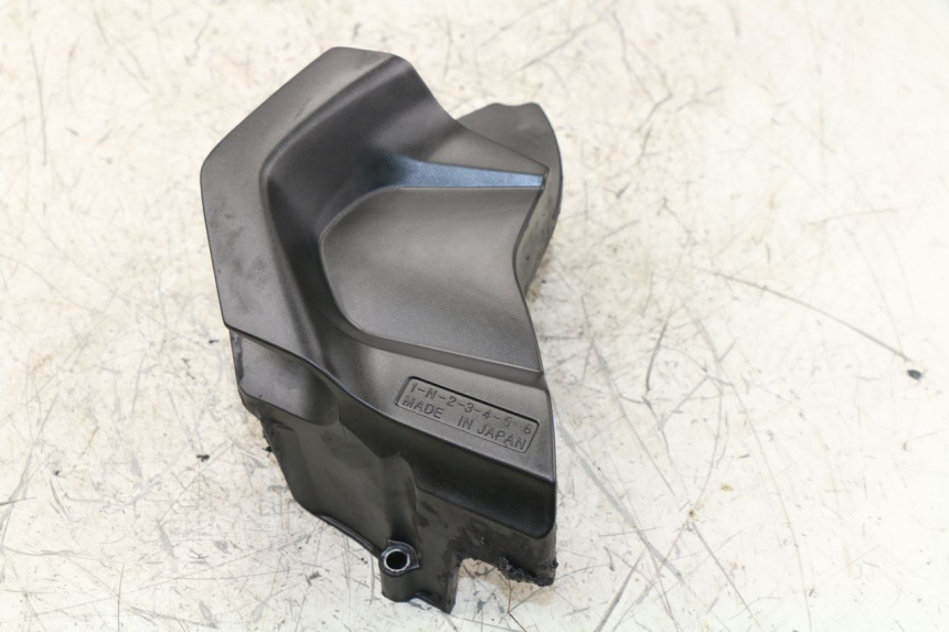 photo de CARTER PIGNON YAMAHA FZ1 FAZER 1000 (2007 - 2009)