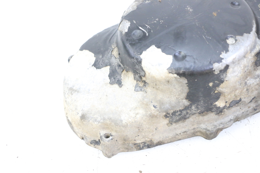 photo de CARTER VARIATEUR PEUGEOT TKR TREKKER FURIOUS 50 (2005 - 2014)