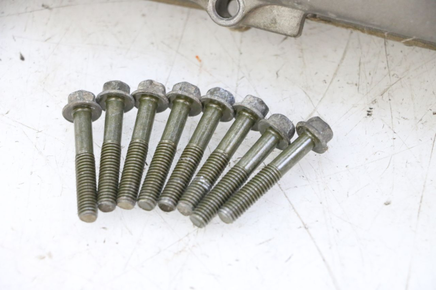 photo de CARTER VARIATEUR PGO RODOSHOW 2T 50 (2003 - 2007)