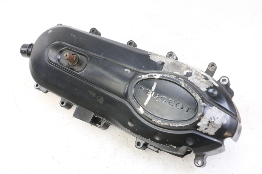 photo de CARTER VARIATEUR PEUGEOT TWEET PRO CARGO 50 (2018 - 2020)