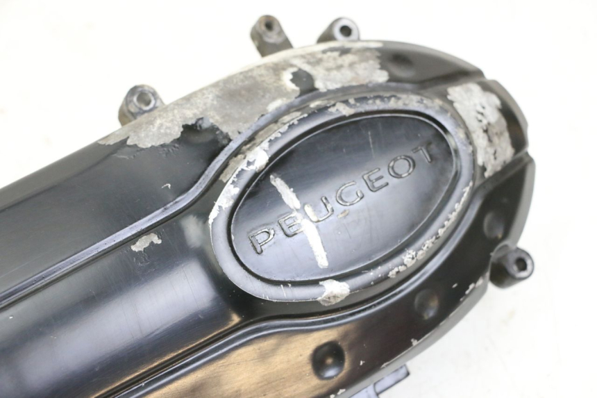 photo de CARTER VARIATEUR PEUGEOT TWEET PRO CARGO 50 (2018 - 2020)