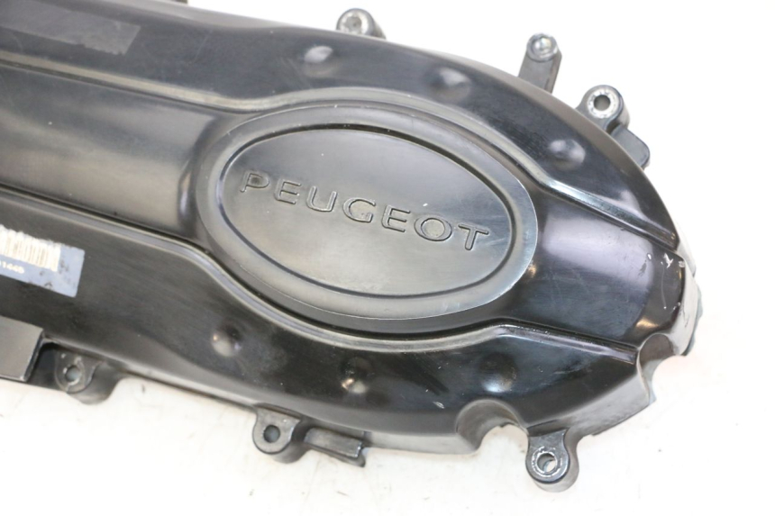 photo de CARTER VARIATEUR PEUGEOT TWEET PRO CARGO 50 (2018 - 2020)