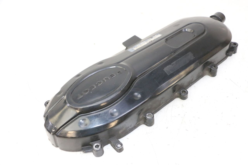 photo de CARTER VARIATEUR PEUGEOT TWEET PRO CARGO 50 (2018 - 2020)