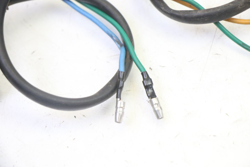 photo de CLIGNOTANT ARRIERE STAHO FH 50 (2018 - 2019)