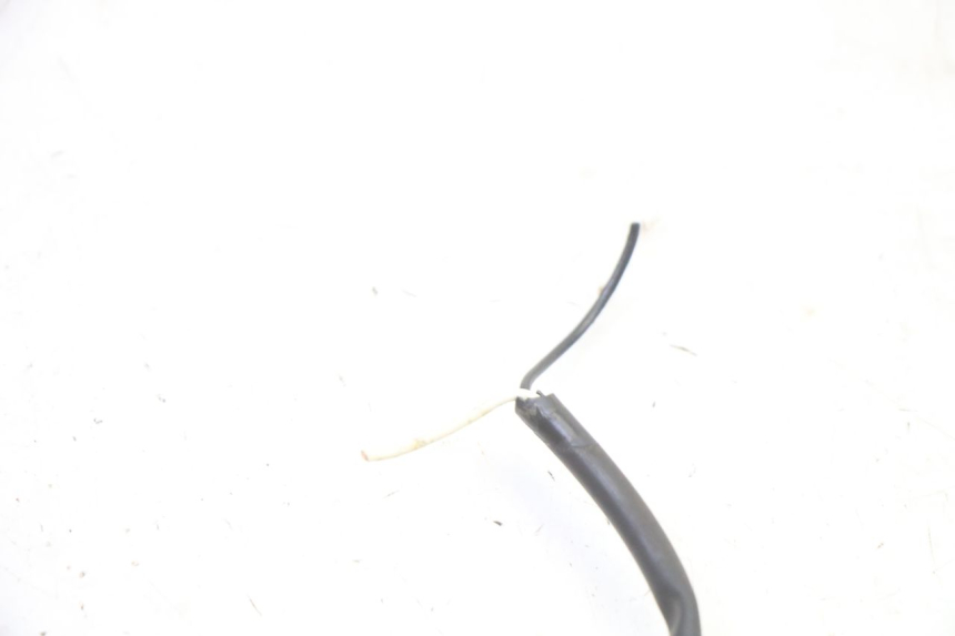 photo de CLIGNOTANT AVANT DROIT TRIUMPH SPRINT 900 (1995 - 1998)