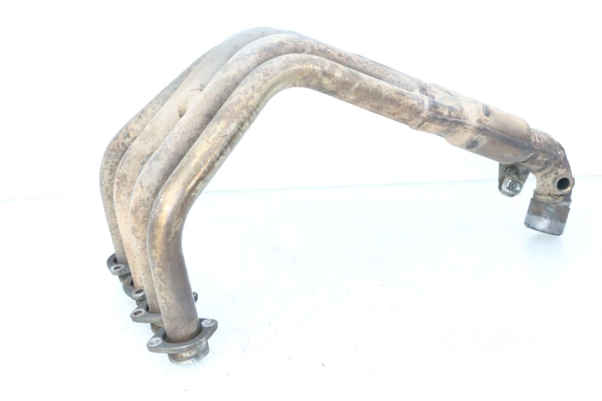 photo de COLLECTEUR YAMAHA FZ6 FAZER S2 600 (2007 - 2011)