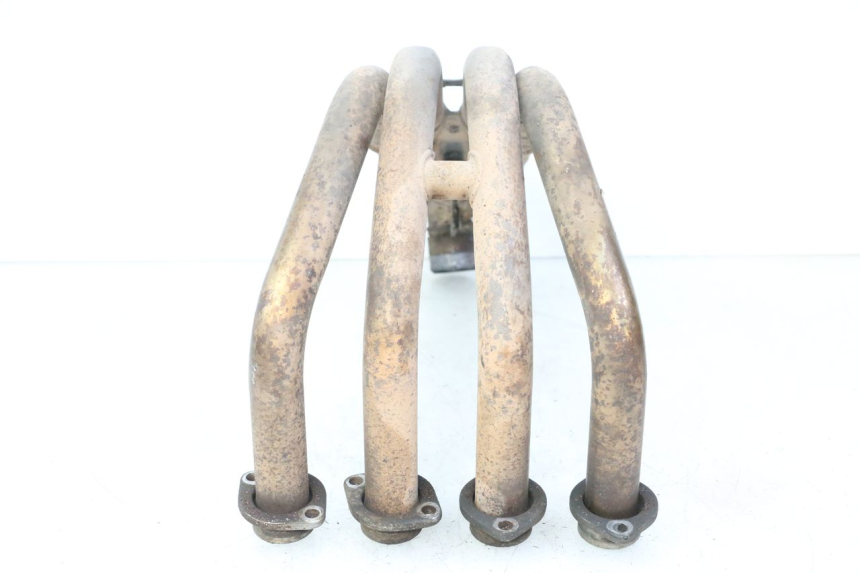 photo de COLLECTEUR YAMAHA FZ6 FAZER S2 600 (2007 - 2011)