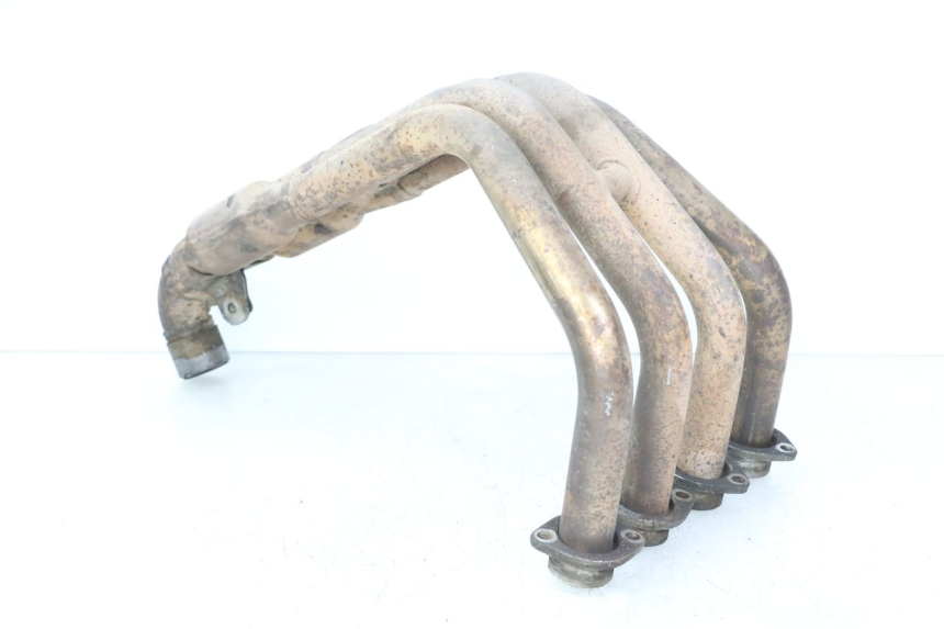 photo de COLLECTEUR YAMAHA FZ6 FAZER S2 600 (2007 - 2011)