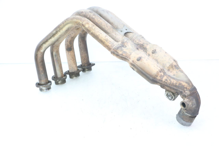 photo de COLLECTEUR YAMAHA FZ6 FAZER S2 600 (2007 - 2011)