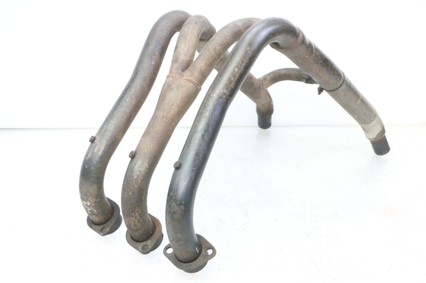 photo de COLLECTEUR TRIUMPH SPRINT 900 (1995 - 1998)