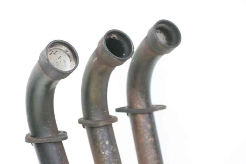 photo de COLLECTEUR TRIUMPH SPRINT 900 (1995 - 1998)