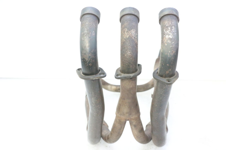 photo de COLLECTEUR TRIUMPH SPRINT 900 (1995 - 1998)