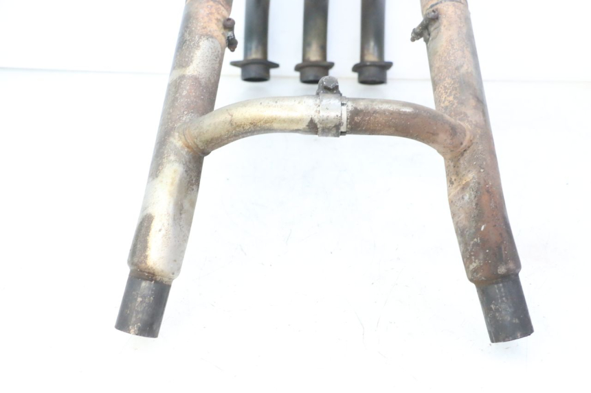 photo de COLLECTEUR TRIUMPH SPRINT 900 (1995 - 1998)