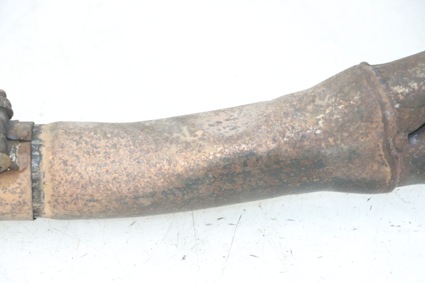 photo de COLLECTEUR TRIUMPH SPRINT 900 (1995 - 1998)