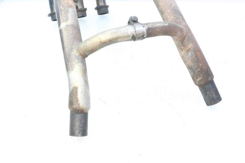 photo de COLLECTEUR TRIUMPH SPRINT 900 (1995 - 1998)