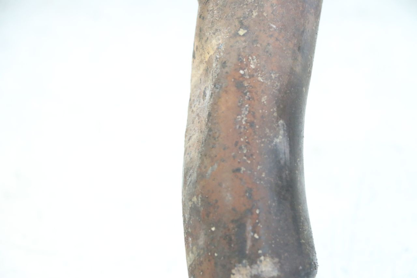 photo de COLLECTEUR TRIUMPH SPRINT 900 (1995 - 1998)