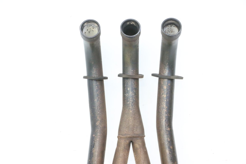 photo de COLLECTEUR TRIUMPH SPRINT 900 (1995 - 1998)