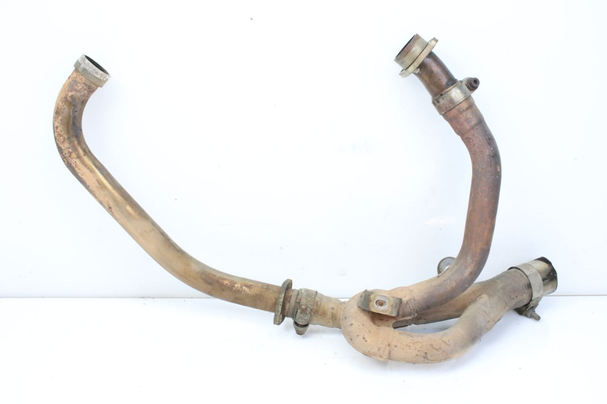 photo de COLLECTEUR SUZUKI SV S 650 (1999 - 2002)