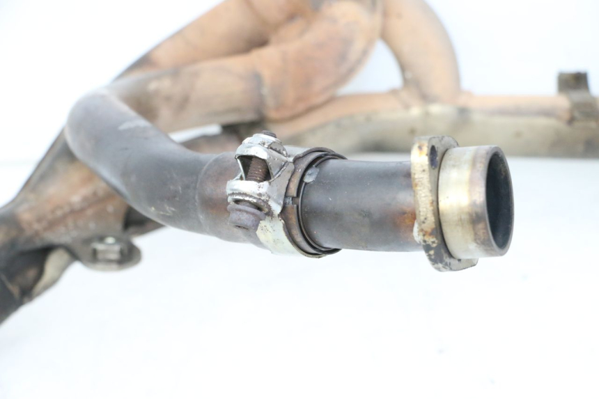 photo de COLLECTEUR SUZUKI SV S 650 (2003 - 2009)