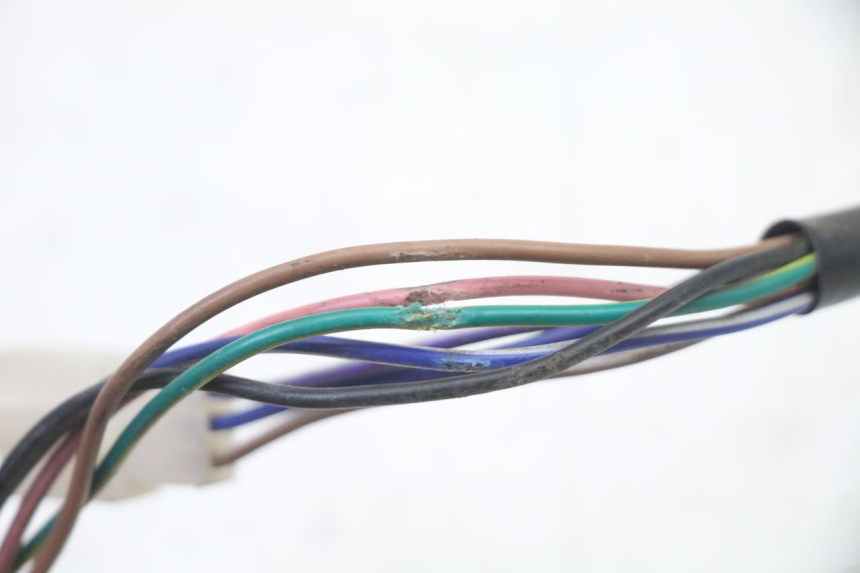 photo de COMMODO GAUCHE PGO RODOSHOW 2T 50 (2003 - 2007)