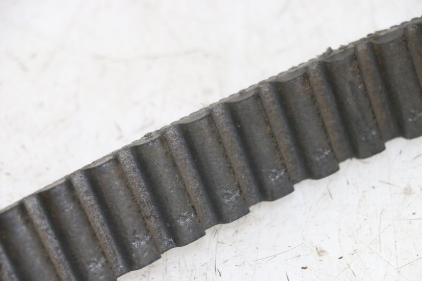 photo de COURROIE HARLEY DAVIDSON SPORTSTER XL CUSTOM 1200 (2003 - 2004)